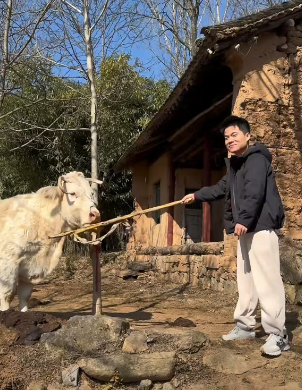 回村后的董宇辉生活有多惬意：喂牛、抓鱼太休闲