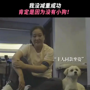 陪伴着贾玲训练减重的小狗，竟是在《你好，李焕英》拍摄期间捡到的